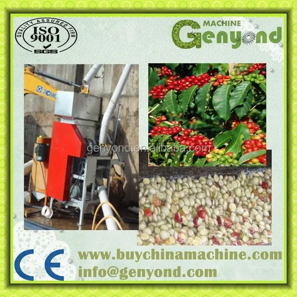 Green Coffee Bean Processing Unit Machine for Coffee Processing Line photo-2
