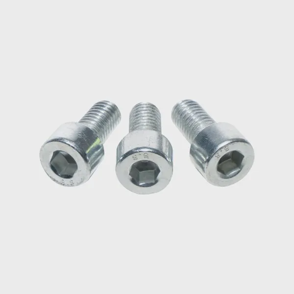 DIN 603 10.9 HDG Mushroom Head Square Neck Carriage Bolt photo-3