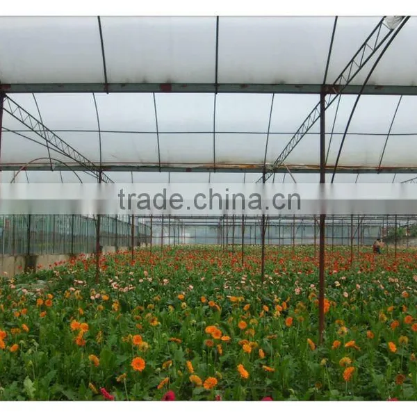 Plastic Shade House photo-2