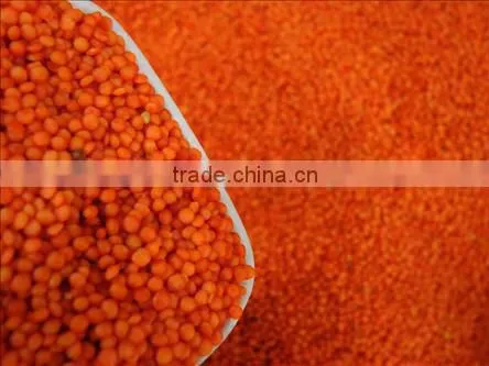 Red Lentils Turkish Lentils Football Lentils Massor Dal