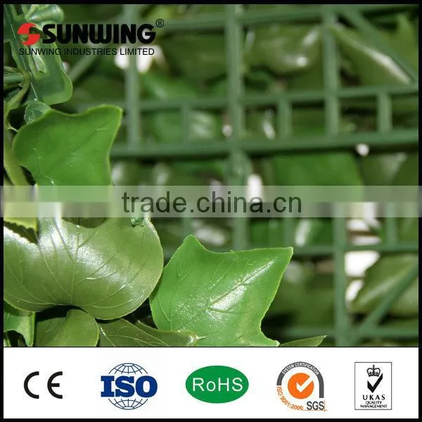 Plastic Fence Cover Ivy Screen Grape Vine Plant for Garden photo-3