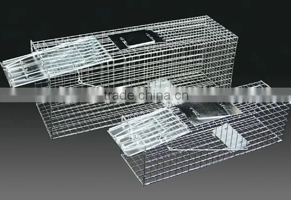 Live Animal Trap