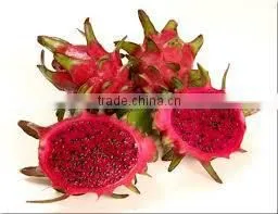 Dragon Fruit