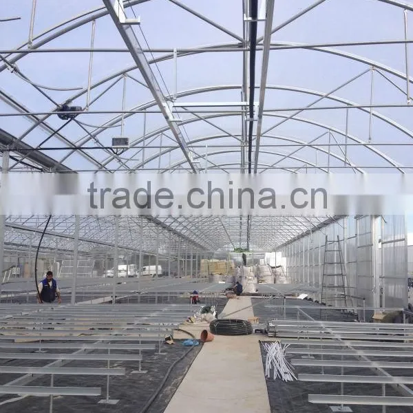 NFT Gutters Channels Gullies for Agricultural Greenhouses and Tomato Production photo-3