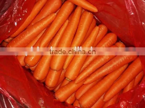 Supplier Bulk Carrot Sale Carrot Price photo-2