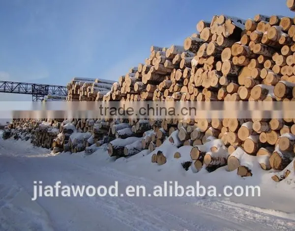 High Quality Birch Logs photo-3