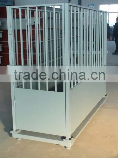 Livestock Platform Scales photo-2