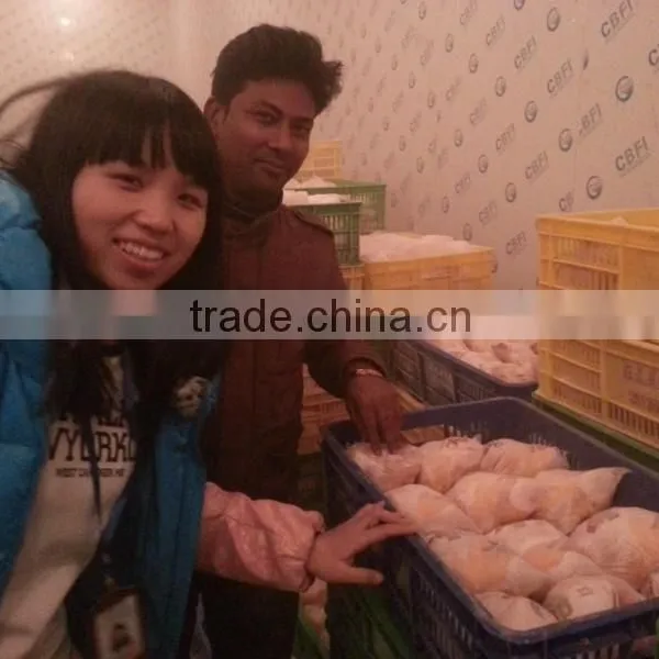 Deep Freezer Cold Room Unit For Sale photo-4