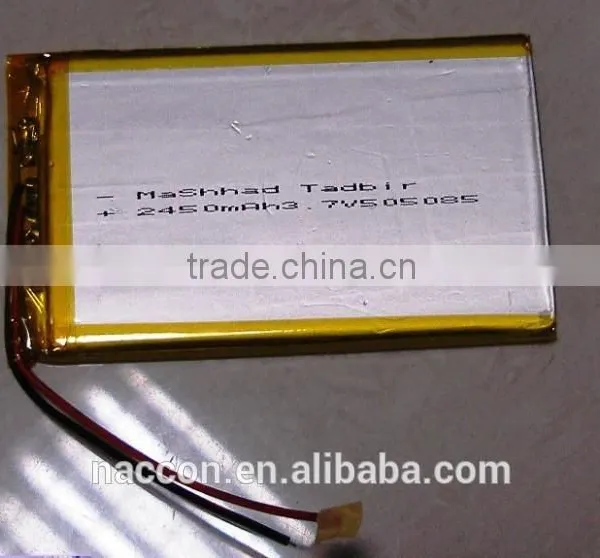 Mobile computer with polymer batteries