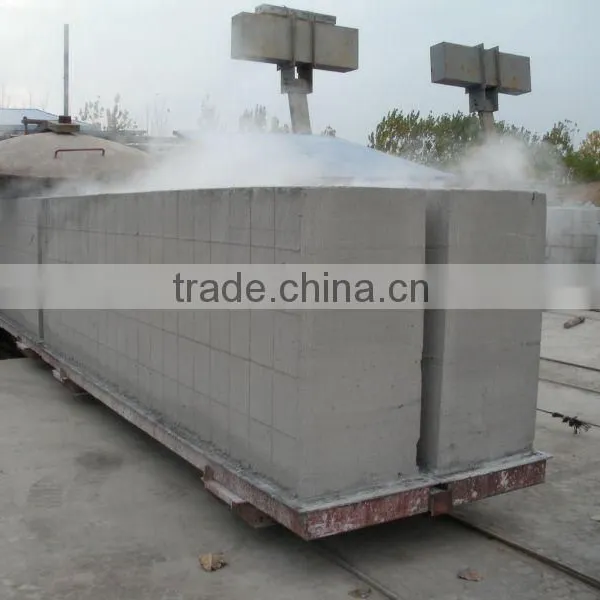 TOP Quality Shandong Linyi AAC Autoclaved Fly Ash Lime Block Making Machine - TIANYUAN BRAND photo-2
