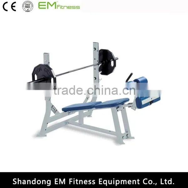 Life Fitness Equipment Roman Chair Back Extension photo-3