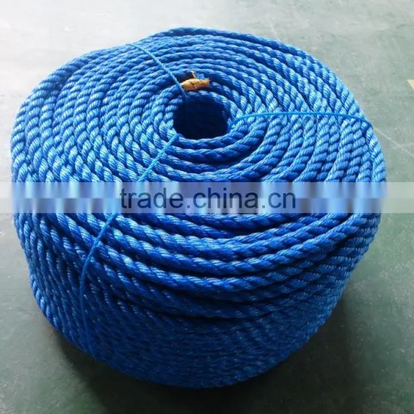 Colorful Rice Straw Rope photo-3