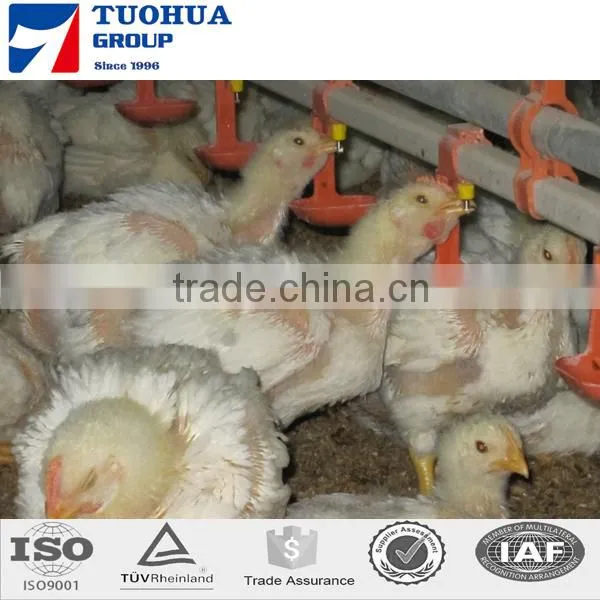 A Type Egg Chicken Layer Cages,layer Poultry Cages photo-2