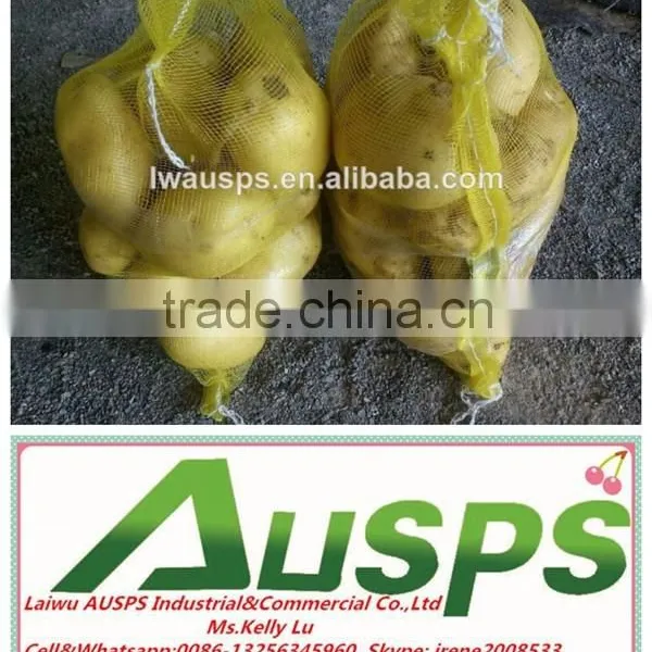 China Fresh Potato Supplier photo-3