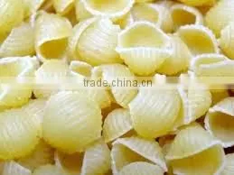 Macaroni photo-2