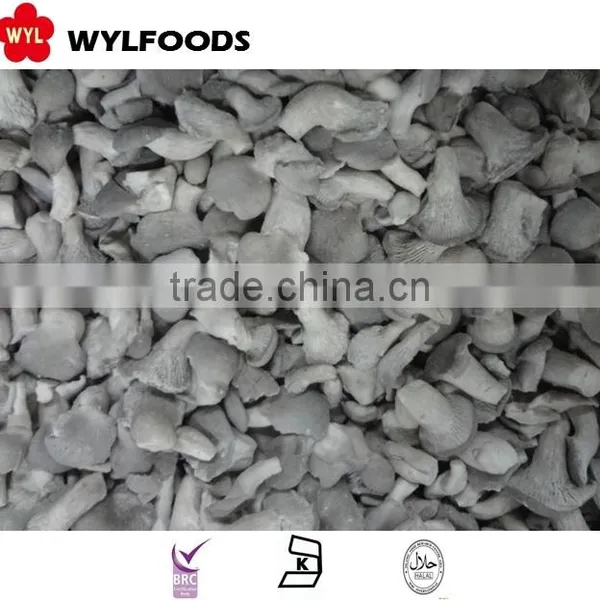 New Crop Frozen Baby Oyster Mushroom 2015 Good Quality Best Prices From China photo-5