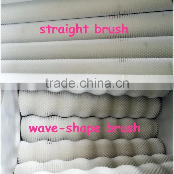 Polish Type Potato Washing and Polishing Washer & Peeler Machine / Equipment photo-4