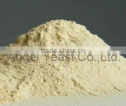 Angel Yeast Dietary Fiber as Food Ingredients for Ease Constipation