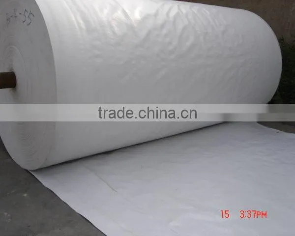 white PE ceiling sheet