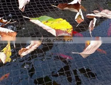 Pool Safety Net photo-4