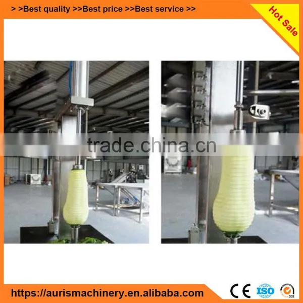 99% Peeling Rate Papaya/watermelon/pawpaw/pumkins Peel Peeler Peeling Machine on Sale photo-5