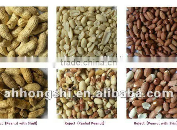 HONGSHI COLOR SORTER MACHINE FOR RAISINS photo-6