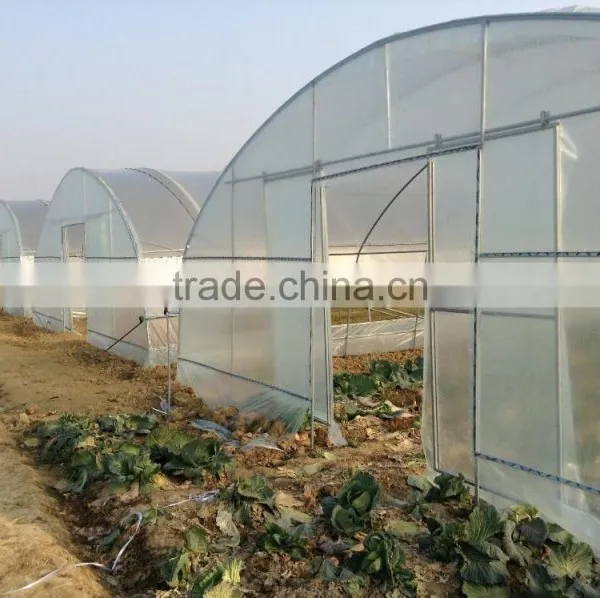 Factory Price BaoLiDa Poly Tunnel Greenhouse For Vegetables /Fruits /Crops photo-6