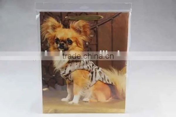 Foldable Gift Bag With Dog's Pictures/ Shopping Bag photo-4