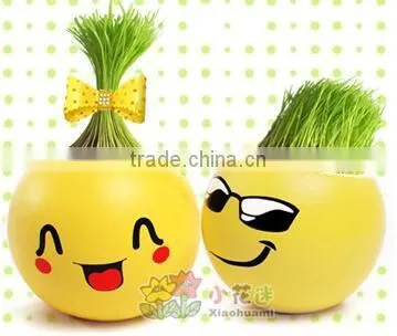 2017 New Style Emoji Grass Doll