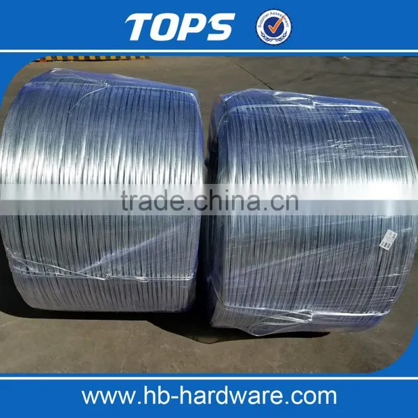 Hot Dipped Galvanized Wire Made in China photo-2