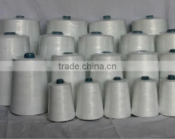 20s/6 100% Polyester Bag Closing Thread 250g