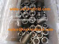 Forged Steel Pipe Fittings