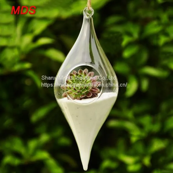 Transparent Glassware Olive Shape Hanging Glass Vase for Home Ornaments