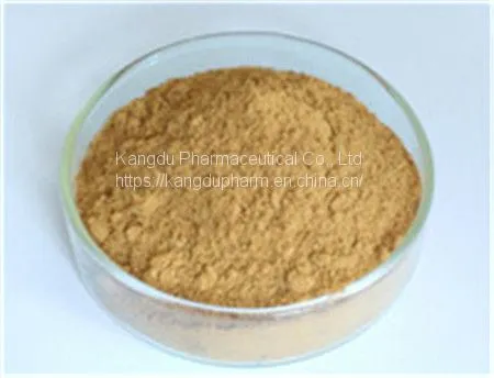 Astragalus Root Extract