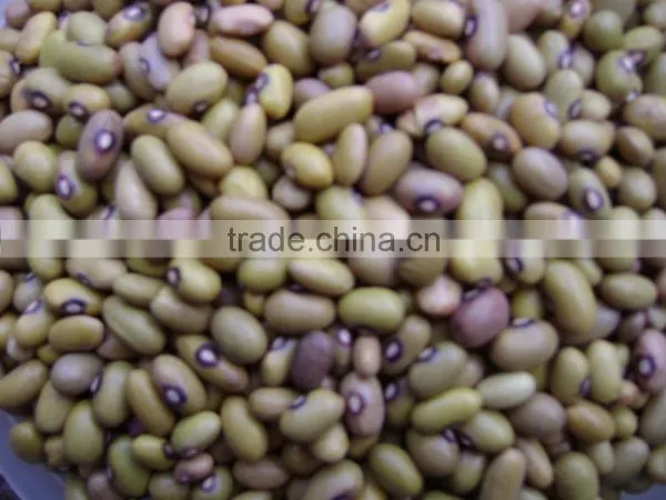 Offer Red Speckled Kidney White Beans Black Beans photo-2