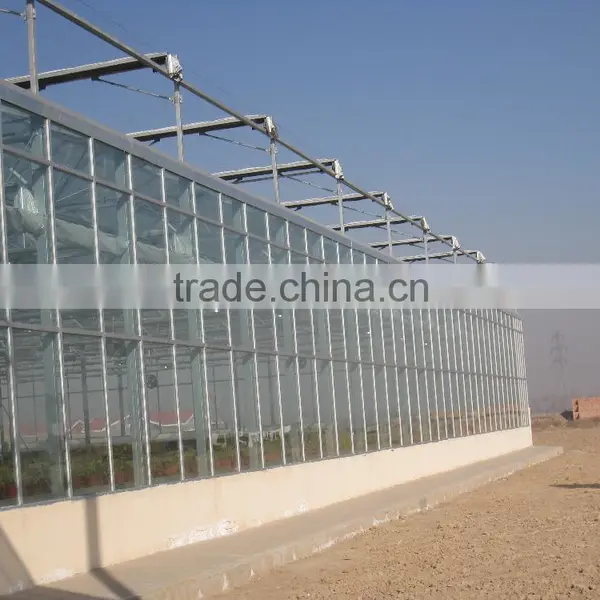 Agricultural Commercial Greenhouse photo-5