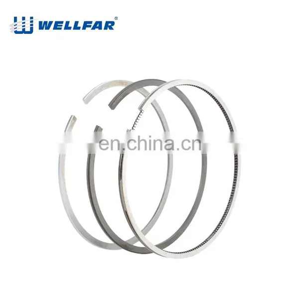 Wellfar French Car 206 Auto Parts 75mm Piston Rings For Peugeot 206 Engine photo-4