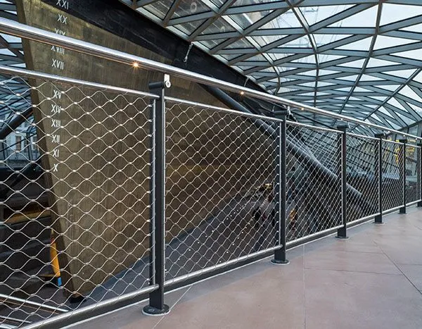 Animal Enclosures in Zoo Applications Animal Protective Nets photo-3