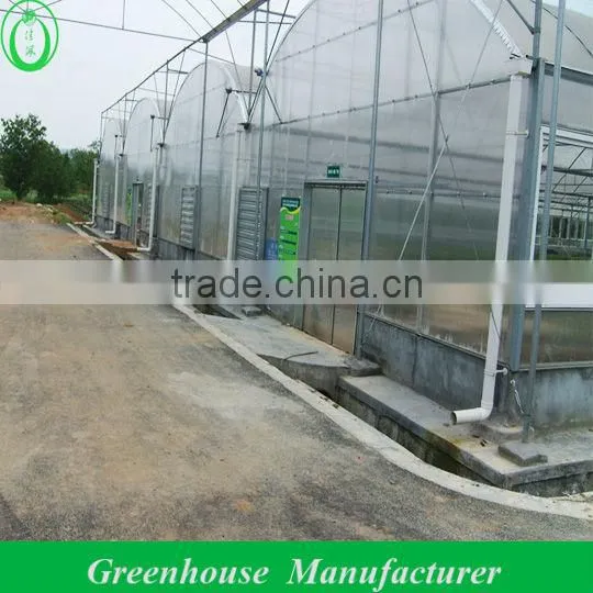 Venlo pc Greenhouse for Sale photo-2