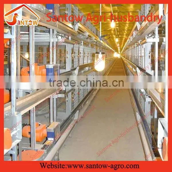 Stable Steel Structure Professional Chicken Egg Layer Cage Chicken Egg Layer Boxes