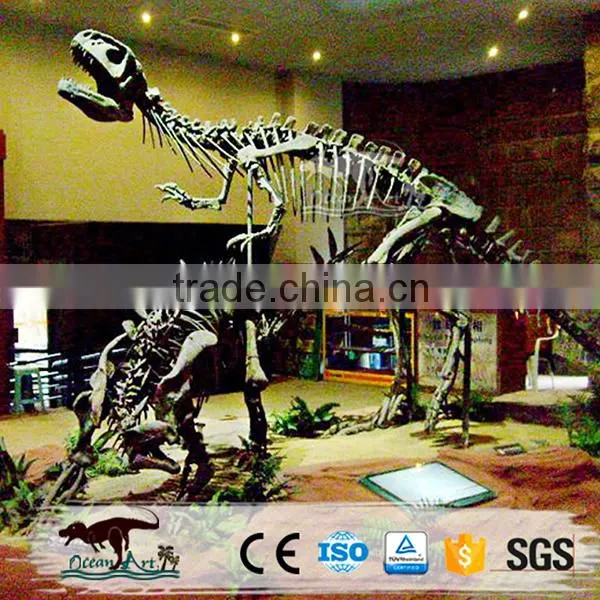 OA-SD-L36 Exhibition Equipment Dinosaur Fossil Skeleton Replica photo-5