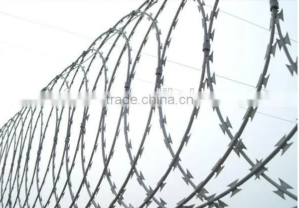 Cheap Razor Barb Wire/galvanized Razor Wire photo-2