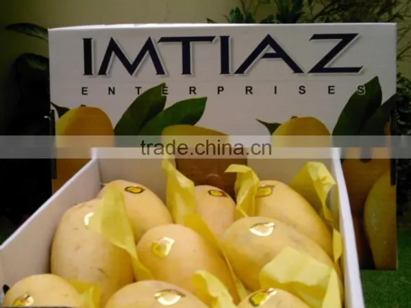 MANGO photo-2