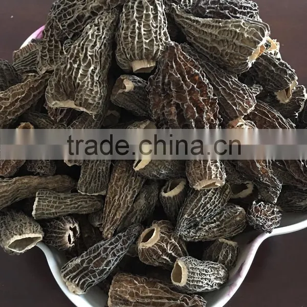 Dried Morels