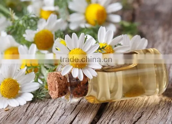 CHAMOMILE ROMAN OIL photo-3