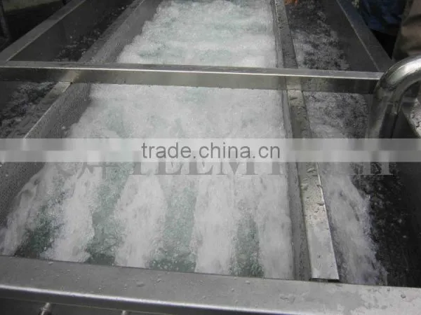 TW-307L Hot Sale Vegetable Washing Machine/ Fruit Washer/Vegetable Cleaning Machine photo-6