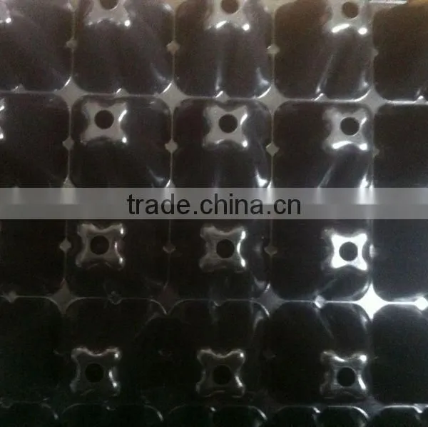 50 Cell Vegetable Seed Sprouting Trays photo-3