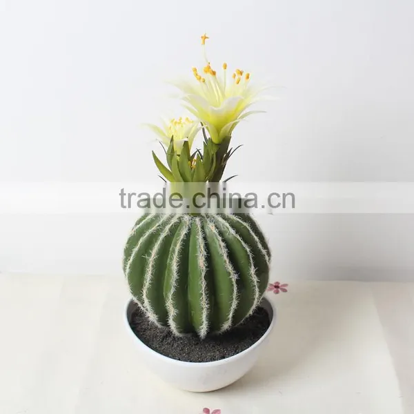 SJ1801212 Artificial Small Succulent Bonsai Plant/mini Cheap Plastic Plant photo-4