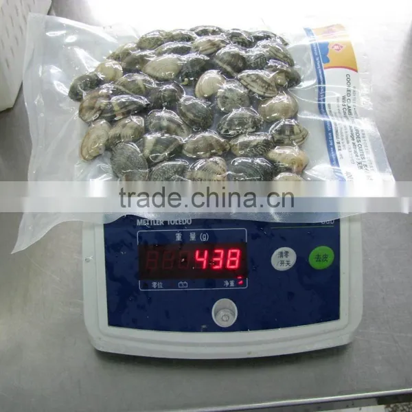 Frozen Vacuumed Cooked Short Necked Clam Wild Caught photo-3