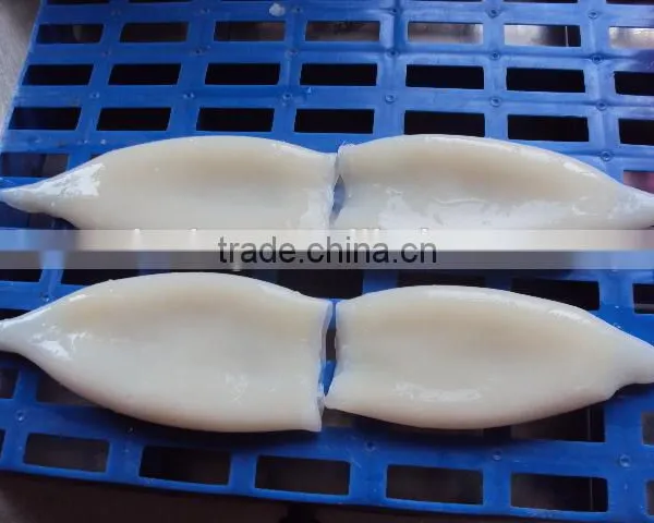 Frozen Tordarodes and Argentina Squid Tube U10,U7,U5 photo-4